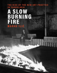 Cover image: A Slow Burning Fire 9780262044844