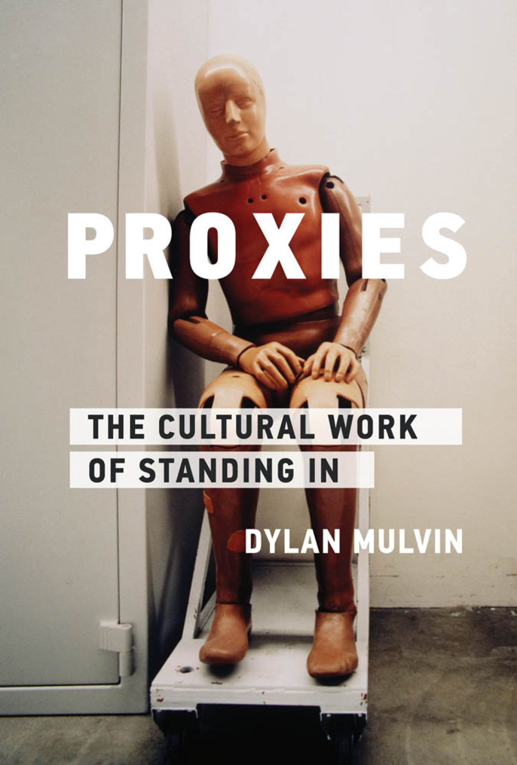 Proxies The Cultural Work of Standing In