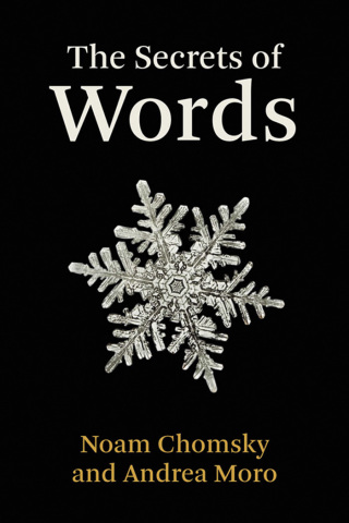 Cover image: The Secrets of Words 9780262046718