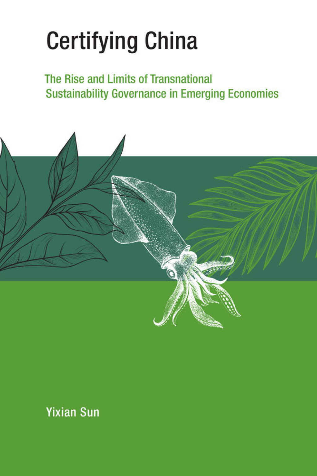 Certifying China The Rise and Limits of Transnational Sustainability Governance in Emerging Economies