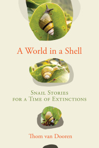 Cover image: A World in a Shell 9780262047029