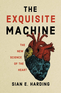 Cover image: The Exquisite Machine 9780262047142