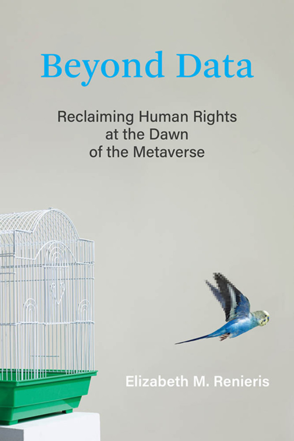 Beyond Data (eBook)