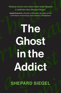Cover image: The Ghost in the Addict 9780262547970