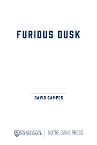 Cover image: Furious Dusk 9780268023775