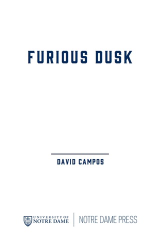 Cover image: Furious Dusk 9780268023775