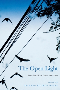 Cover image: The Open Light 9780268035211