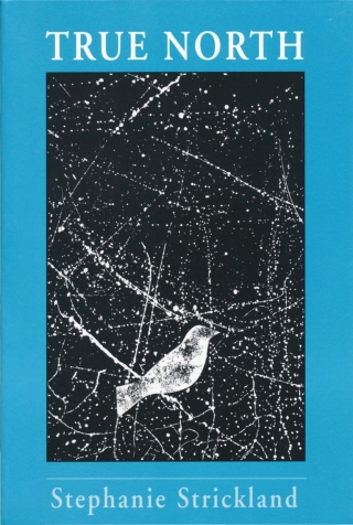 Cover image: True North 9780268018993