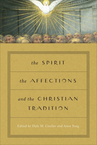 Omslagafbeelding: The Spirit, the Affections, and the Christian Tradition 9780268100049