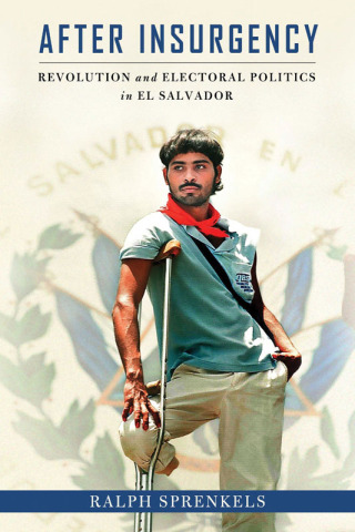 Cover image: After Insurgency 9780268103255