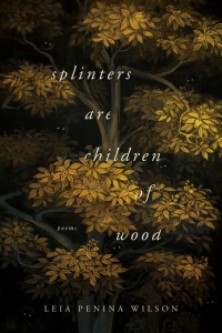 Cover image: Splinters Are Children of Wood 9780268106188
