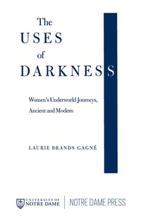 Titelbild: The Uses of Darkness 9780268043056