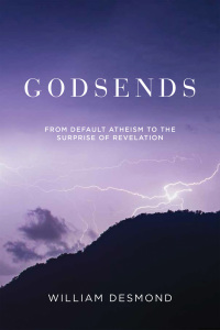 Cover image: Godsends 9780268201579