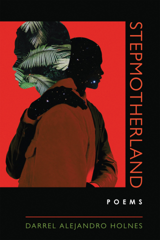 Imagen de portada: Stepmotherland 9780268202163