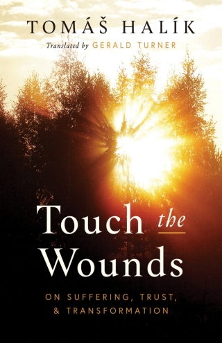 Imagen de portada: Touch the Wounds 9780268204907