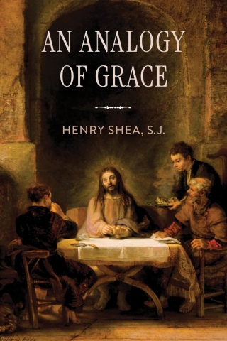 Cover image: An Analogy of Grace 9780268208639