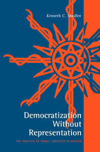 Cover image: Democratization Without Representation 9780271023915