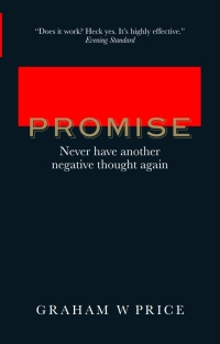 Titelbild: The Promise 1st edition 9780273784364