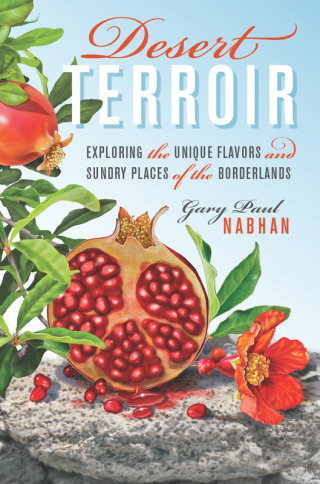 Cover image: Desert Terroir 9780292725898