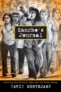 Cover image: Sancho's Journal 9780292742390