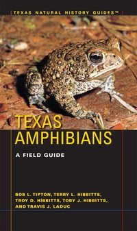 صورة الغلاف: Texas Amphibians 9780292737358