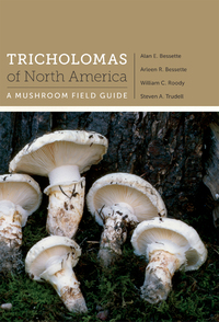 Cover image: Tricholomas of North America 9780292742338