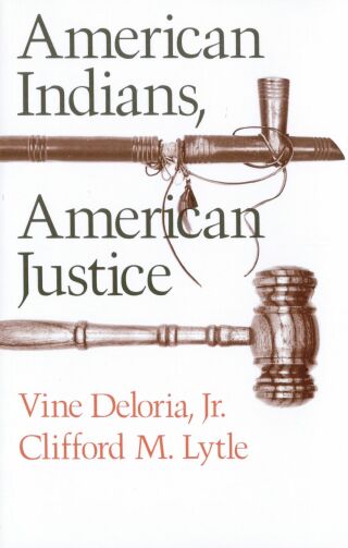 表紙画像: American Indians, American Justice 9780292738348