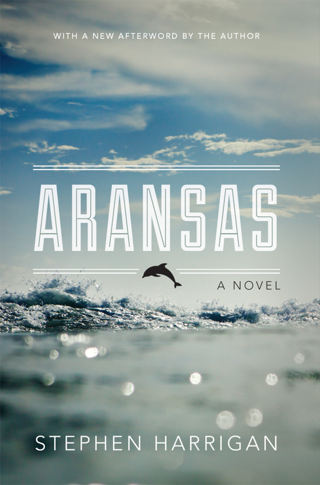 Aransas A Novel