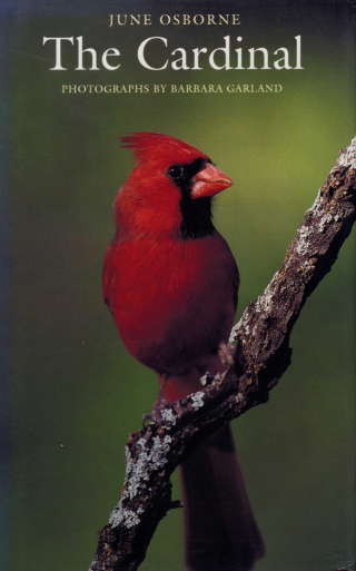 Cover image: The Cardinal 9780292760431