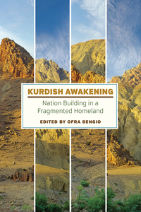 表紙画像: Kurdish Awakening 9780292758131
