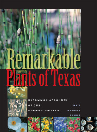 Cover image: Remarkable Plants of Texas 9780292718517