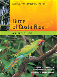 صورة الغلاف: Birds of Costa Rica 9780292719651
