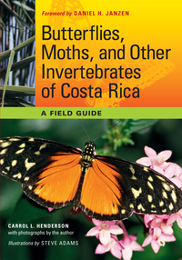 صورة الغلاف: Butterflies, Moths, and Other Invertebrates of Costa Rica 9780292719668