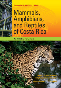 صورة الغلاف: Mammals, Amphibians, and Reptiles of Costa Rica 9780292722743
