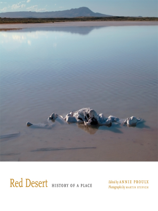 Cover image: Red Desert 9780292714205