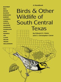 Imagen de portada: Birds and Other Wildlife of South Central Texas 9780292755505