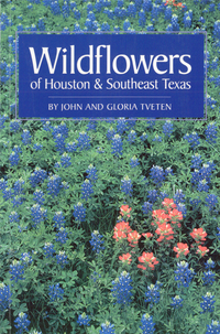 表紙画像: Wildflowers of Houston and Southeast Texas 9780292781511