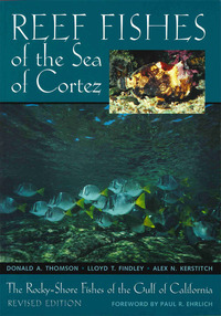 صورة الغلاف: Reef Fishes of the Sea of Cortez 9780292781542