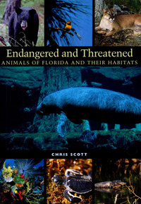 Omslagafbeelding: Endangered and Threatened Animals of Florida and Their Habitats 9780292705296