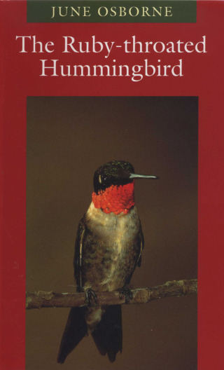 Titelbild: The Ruby-throated Hummingbird 9780292760479