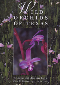 Cover image: Wild Orchids of Texas 9780292747128