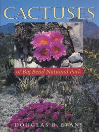 صورة الغلاف: Cactuses of Big Bend National Park 9780292720992