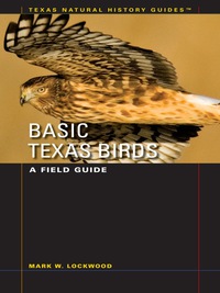 Omslagafbeelding: Basic Texas Birds 9780292713499