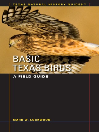 Imagen de portada: Basic Texas Birds 9780292713499
