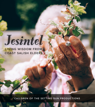 Cover image: Jesintel 9780295748641