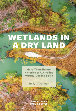 Omslagafbeelding: Wetlands in a Dry Land 9780295749037