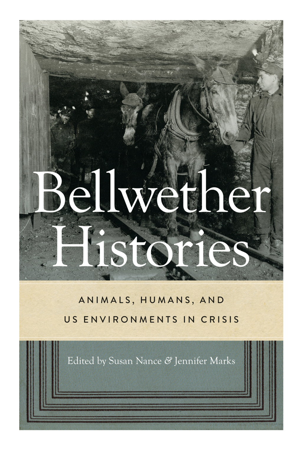 Bellwether Histories Animals, Humans, and US Environments in Crisis
