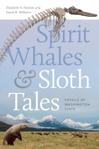Omslagafbeelding: Spirit Whales and Sloth Tales 9780295752327