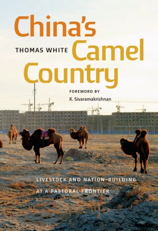 Cover image: China's Camel Country 9780295752426