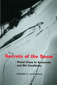 表紙画像: Secrets of the Snow 9780295981512